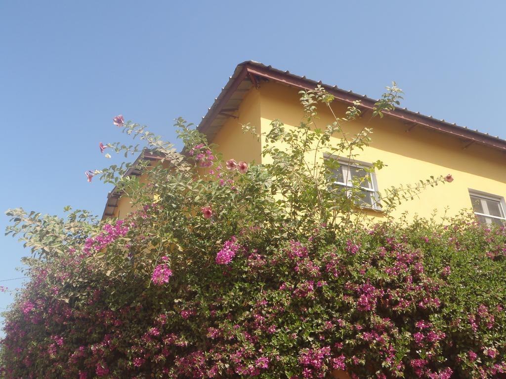 Sanchaba Yellow Apartments Kololi Buitenkant foto